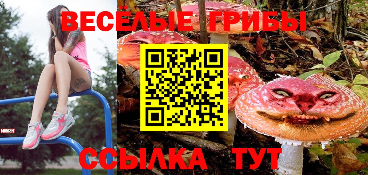 Соликамск  Псилоцибиновые грибы прущие грибы  Вход с VPN 