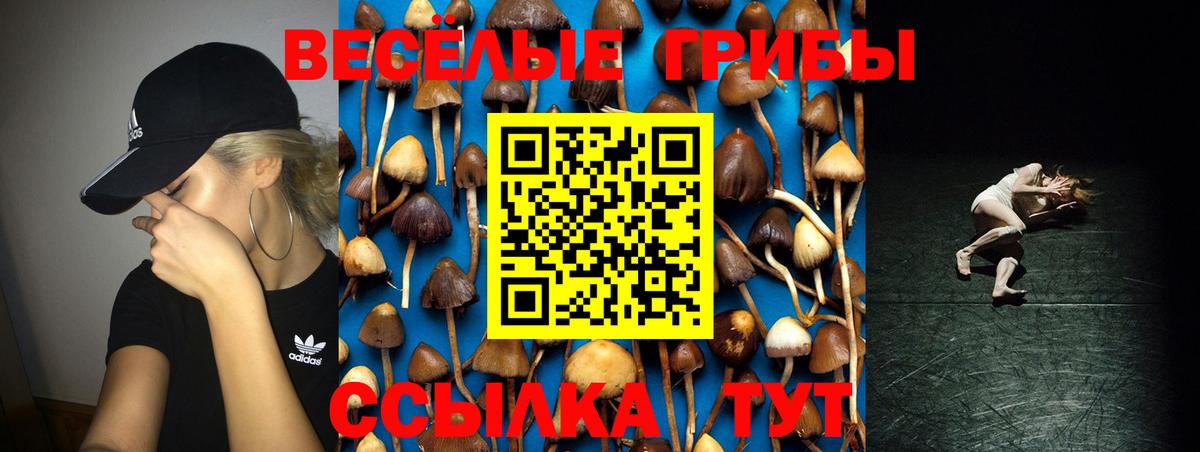 Псилоцибиновые грибы Psilocybine cubensis Соликамск